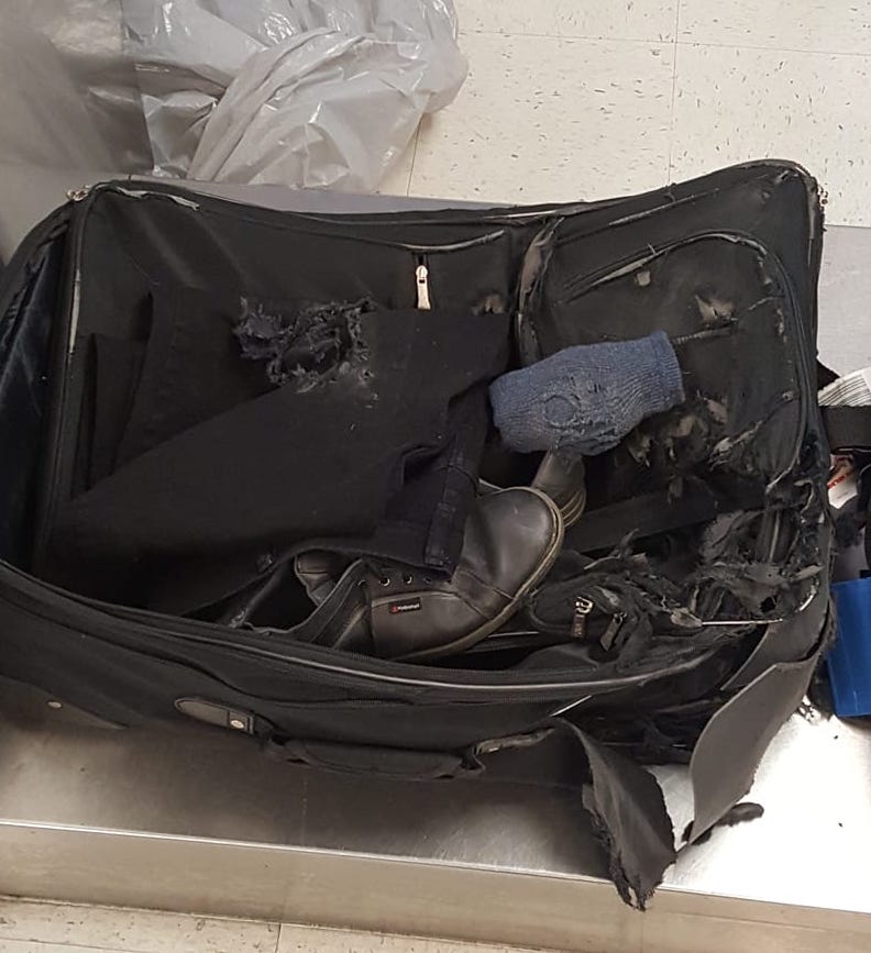 83293510_10222004396282606_8425947466418880512_o